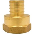 Apollo Valves Adapter Pex 1Inch Brass Female APXFA11